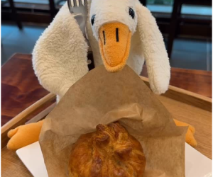 송도 커낼워크 카페 맛집 모음ZIP